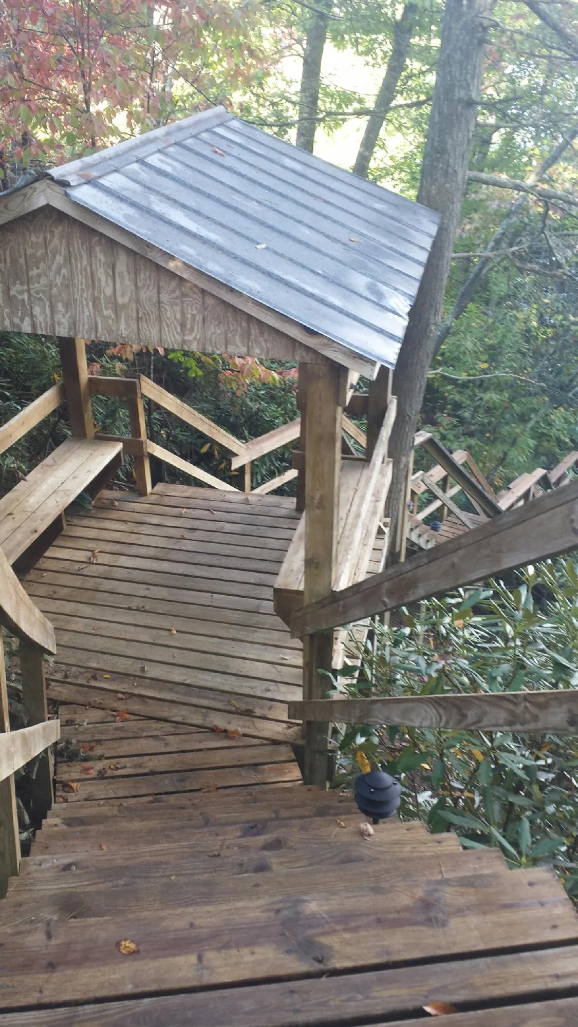 Metal roofed shelter over wooden steps on a wooded walkway — Skylight Repair & Installation work by our crew in Mercer